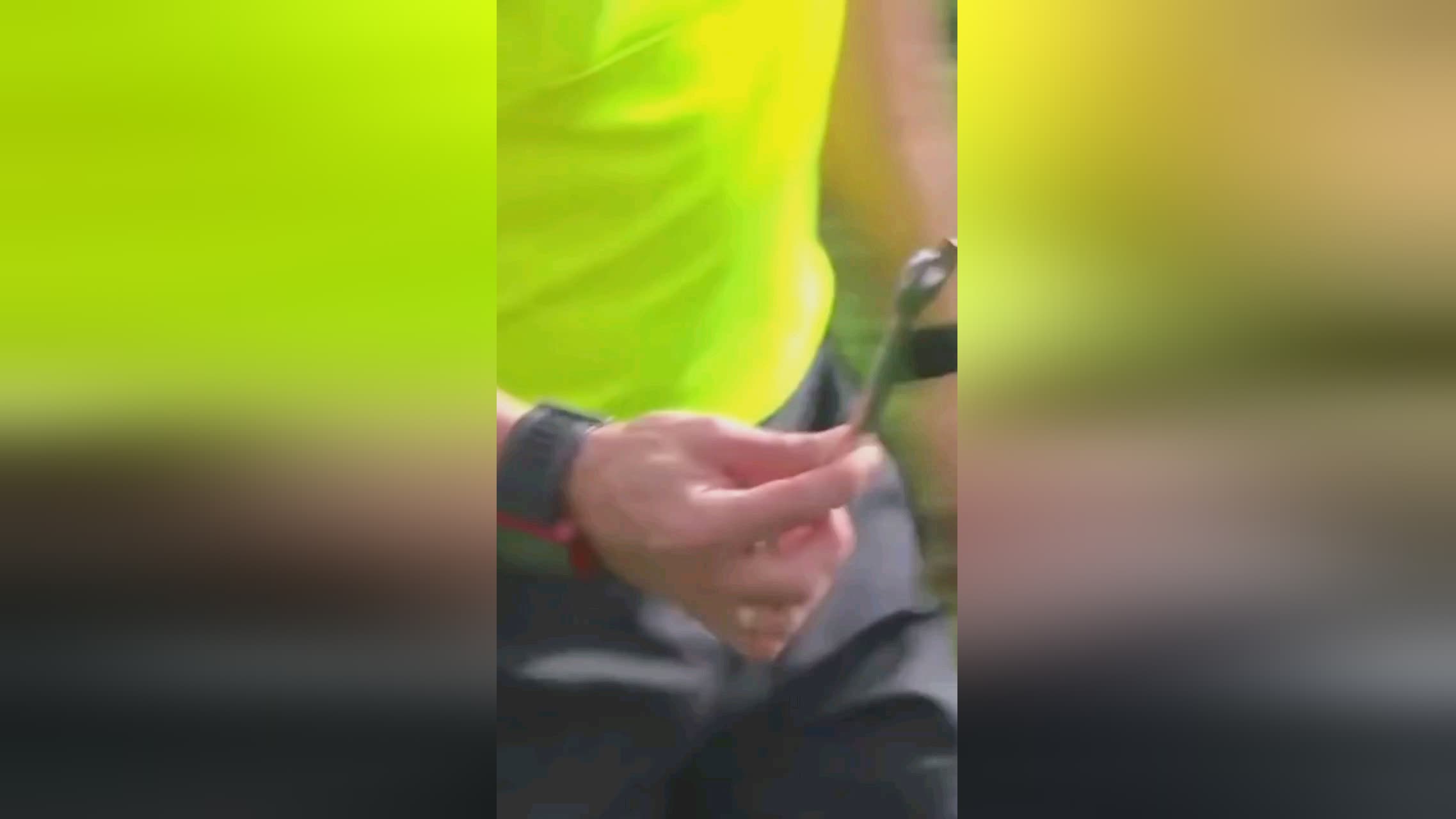 领域